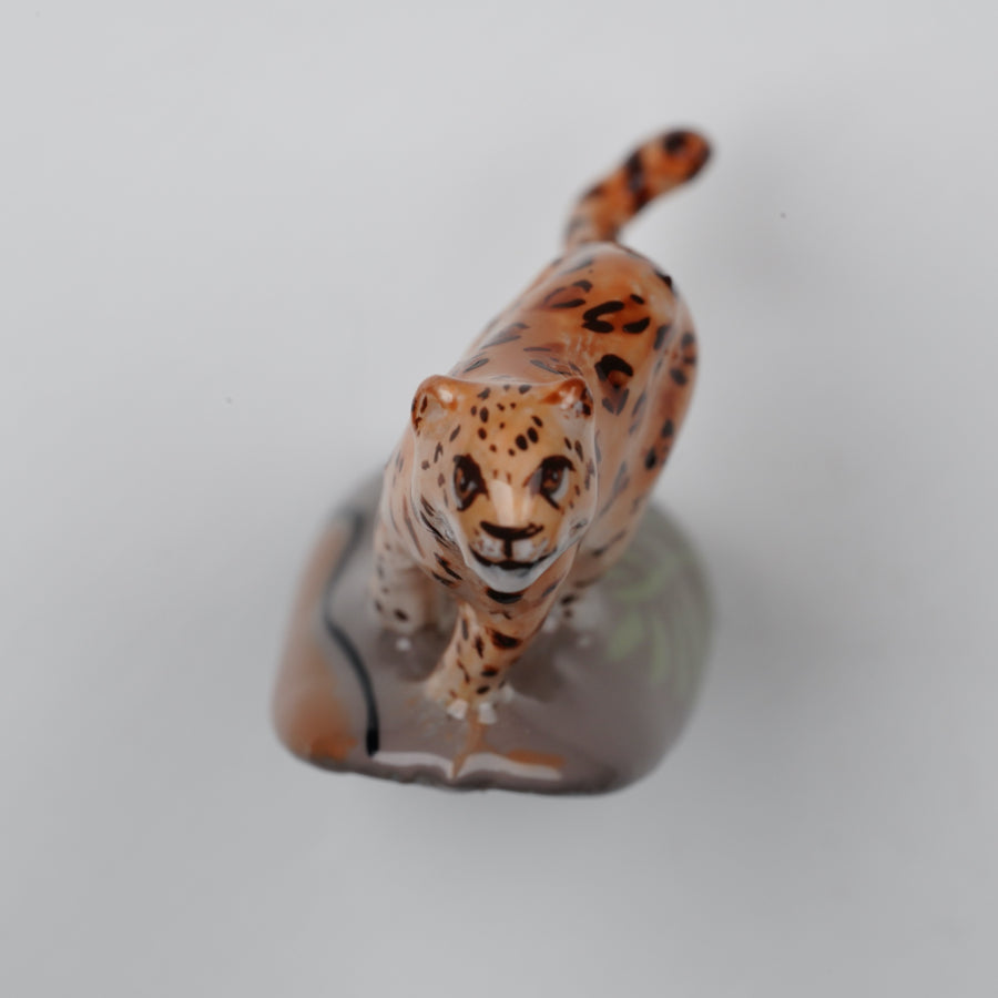 Cheetah(basic)